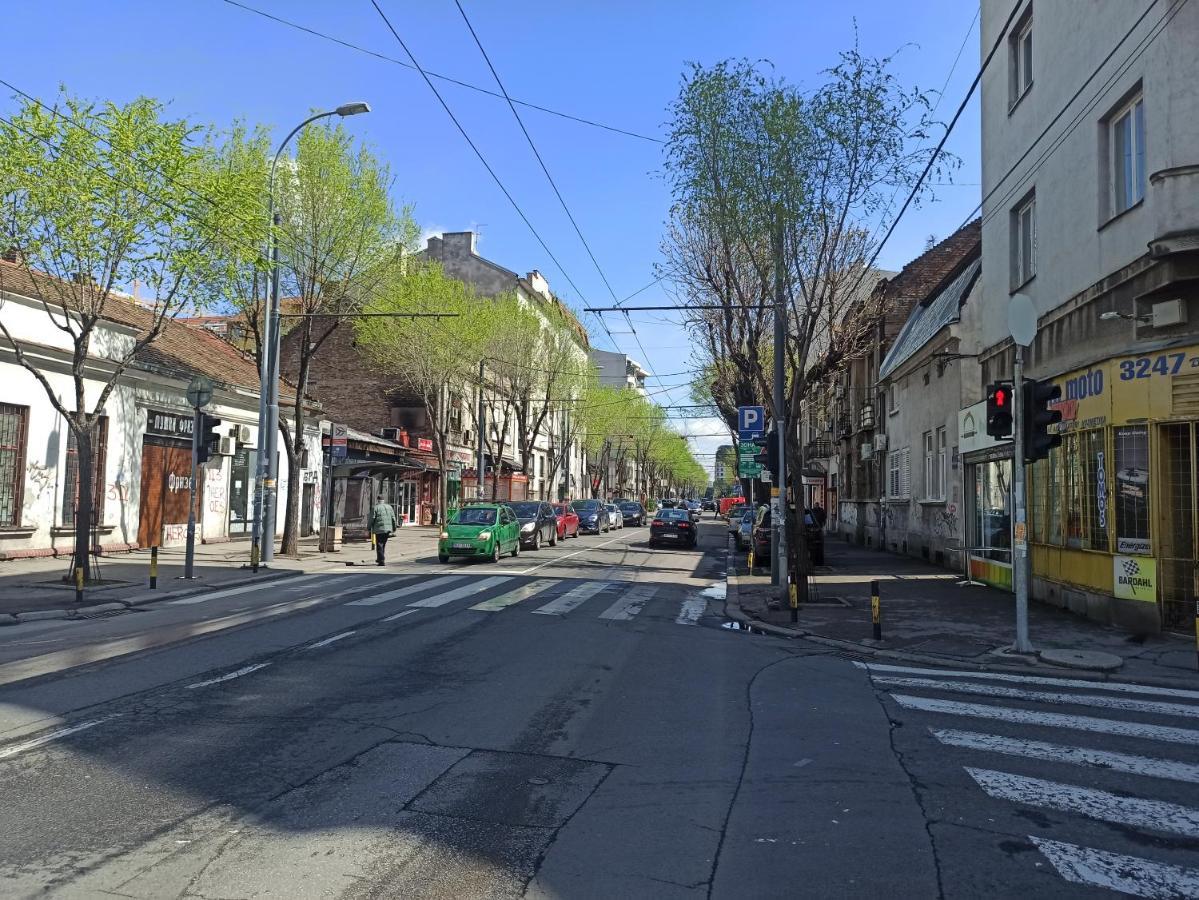 Apartman Silvana Daire Belgrad Dış mekan fotoğraf