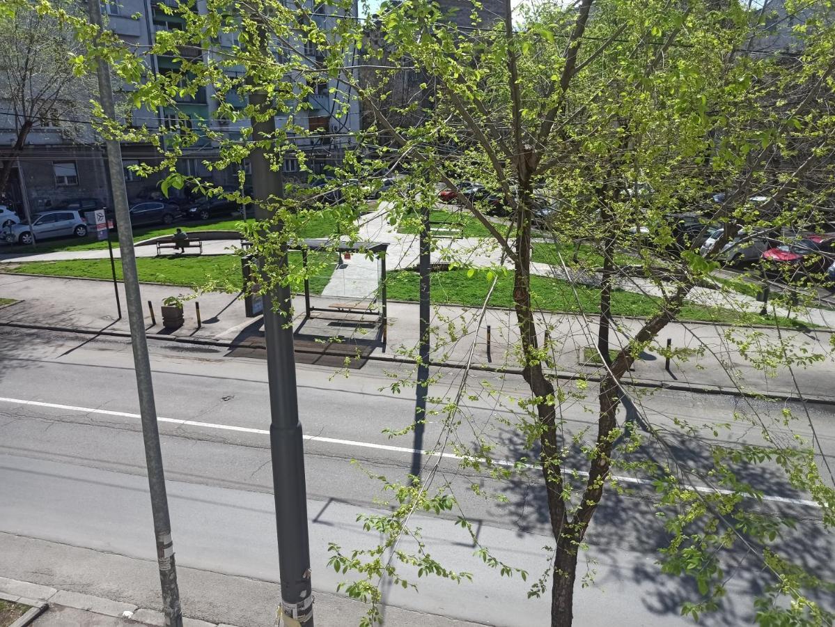 Apartman Silvana Daire Belgrad Dış mekan fotoğraf